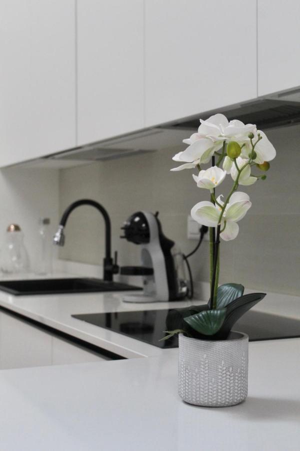 Home Viale Trento 16 Cagliari Zewnętrze zdjęcie